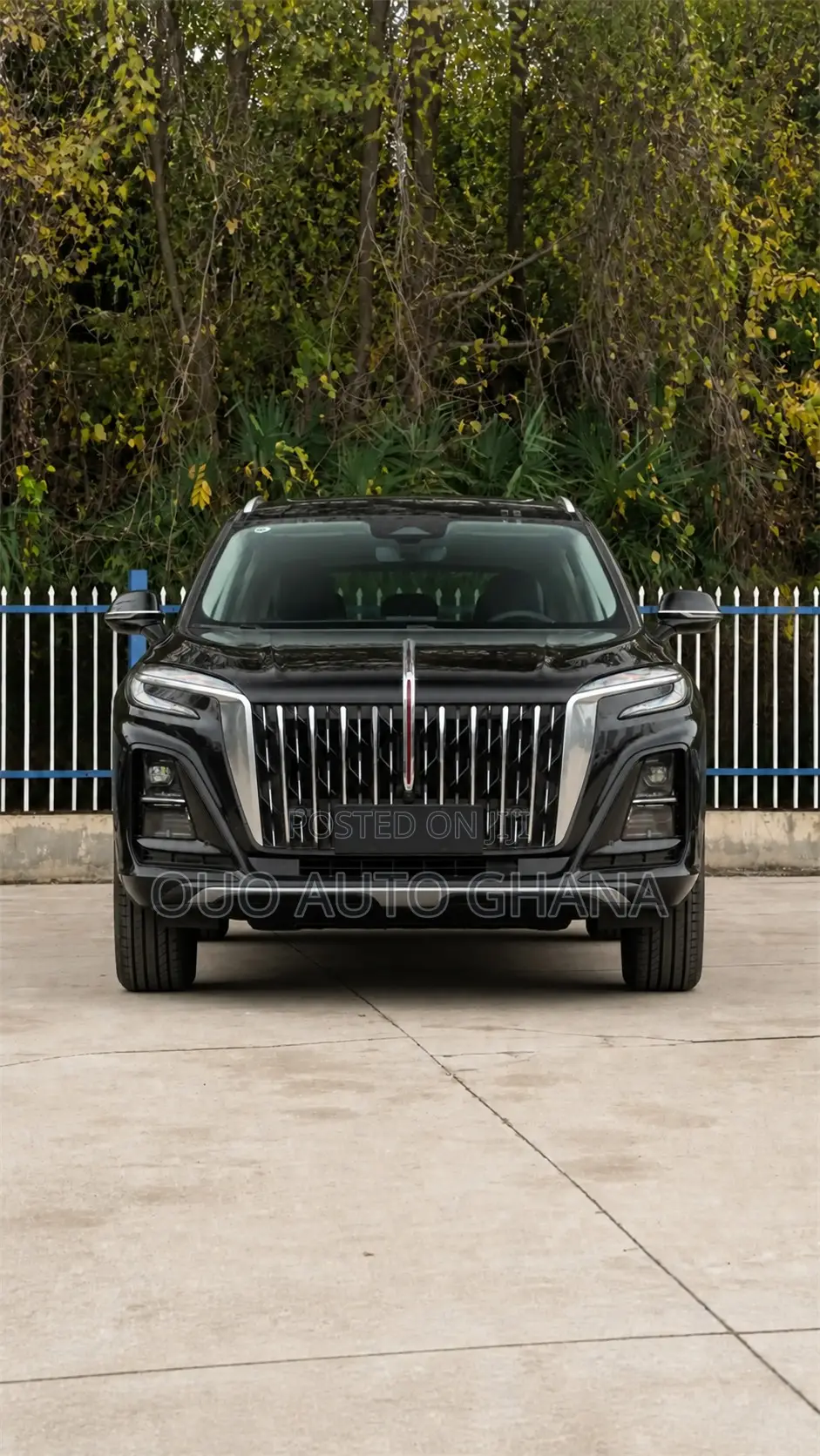 Hongqi E-HS9 2025 Black