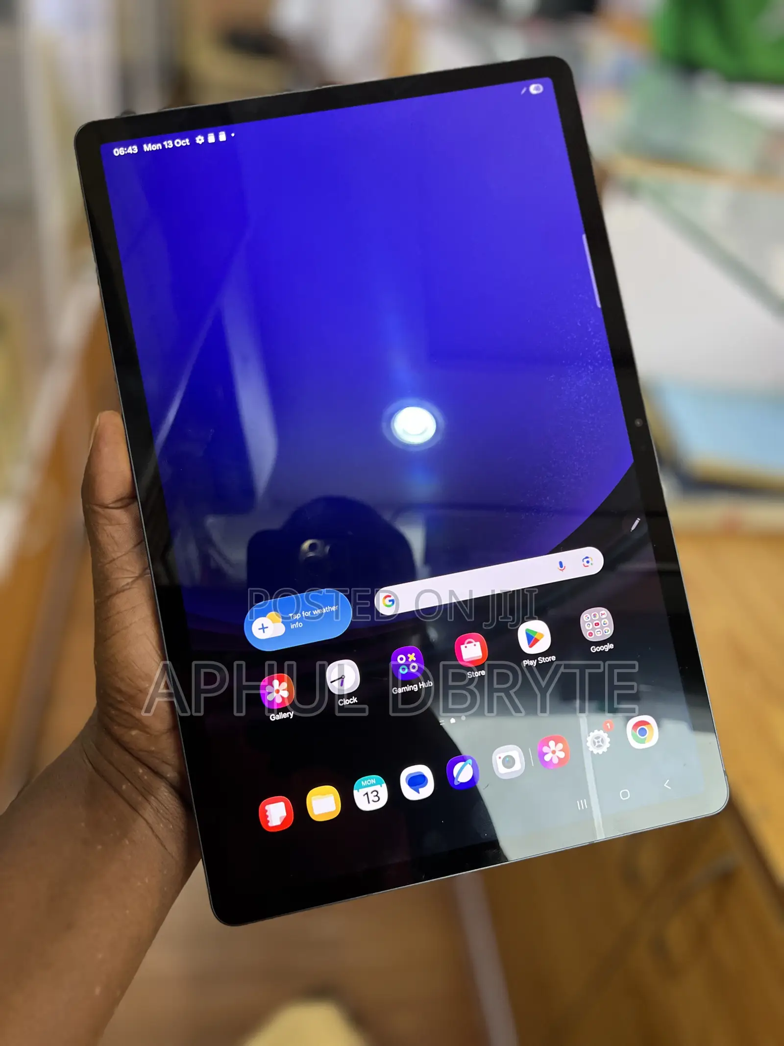 Samsung Galaxy Tab S9+ 256 GB Gray