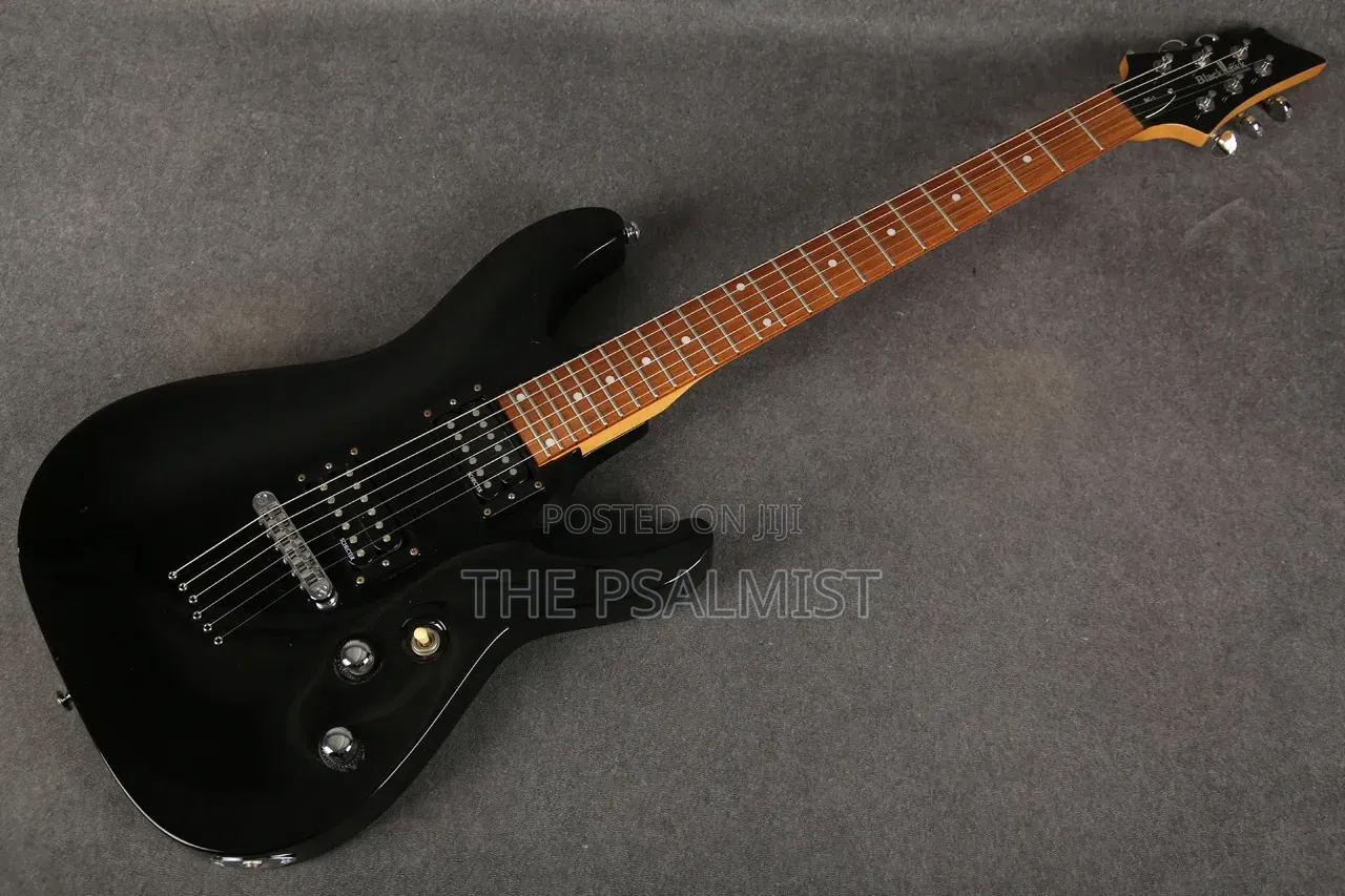 Black Hawk Bc- 1 Schecter Electric Guitar