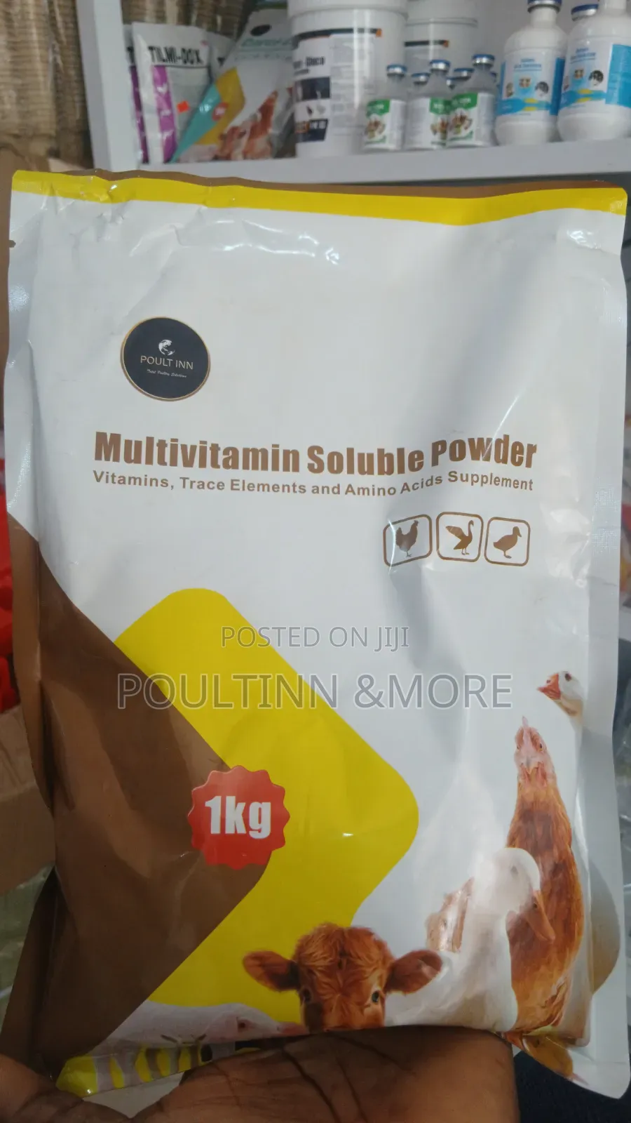 1kg Multivitamin/100g Multivitamin