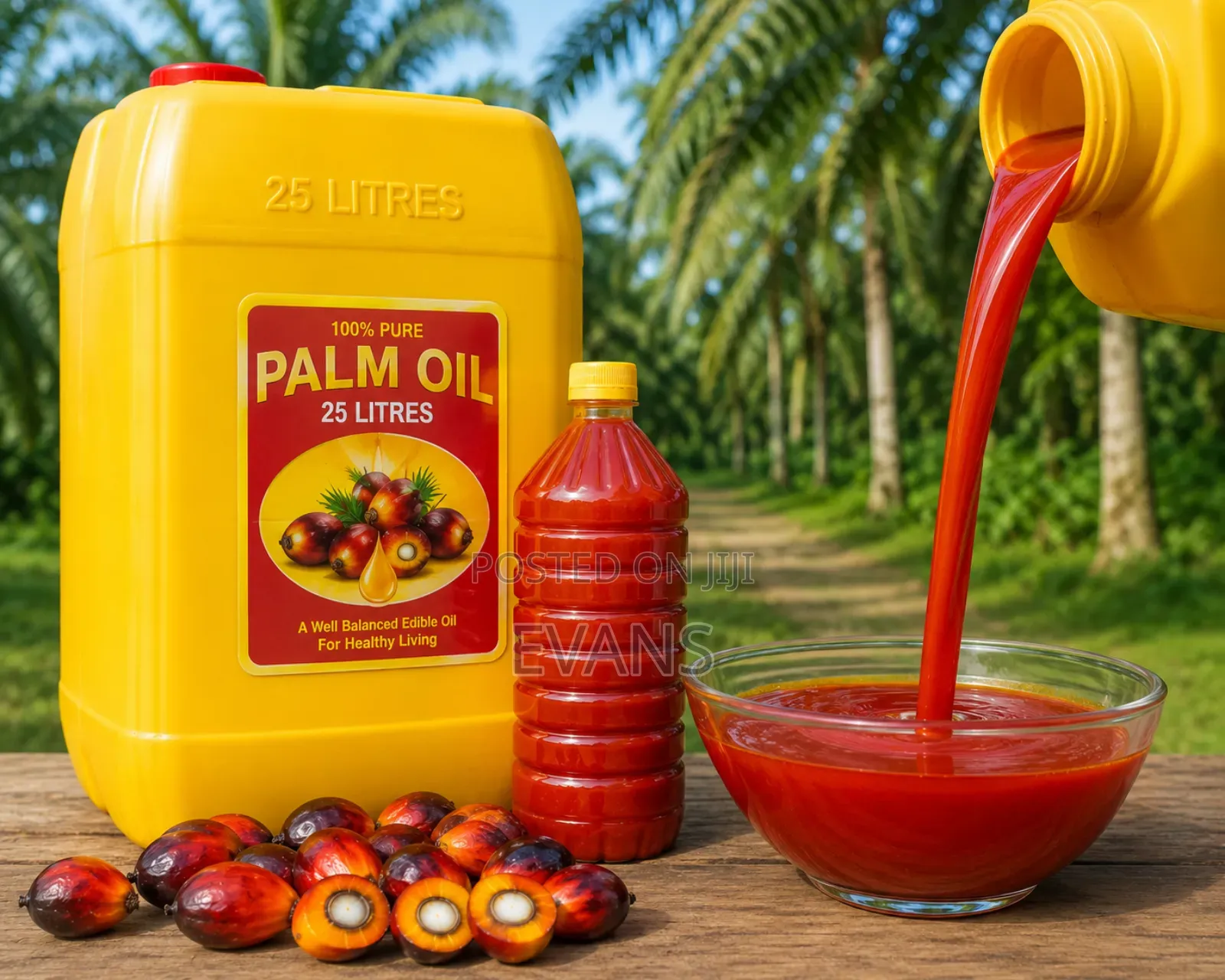 Palm Oil 25 Litre in Bulk