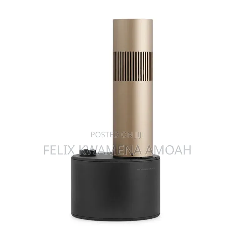 Bang and Olufsen
Outdoor Speakers (Pair)