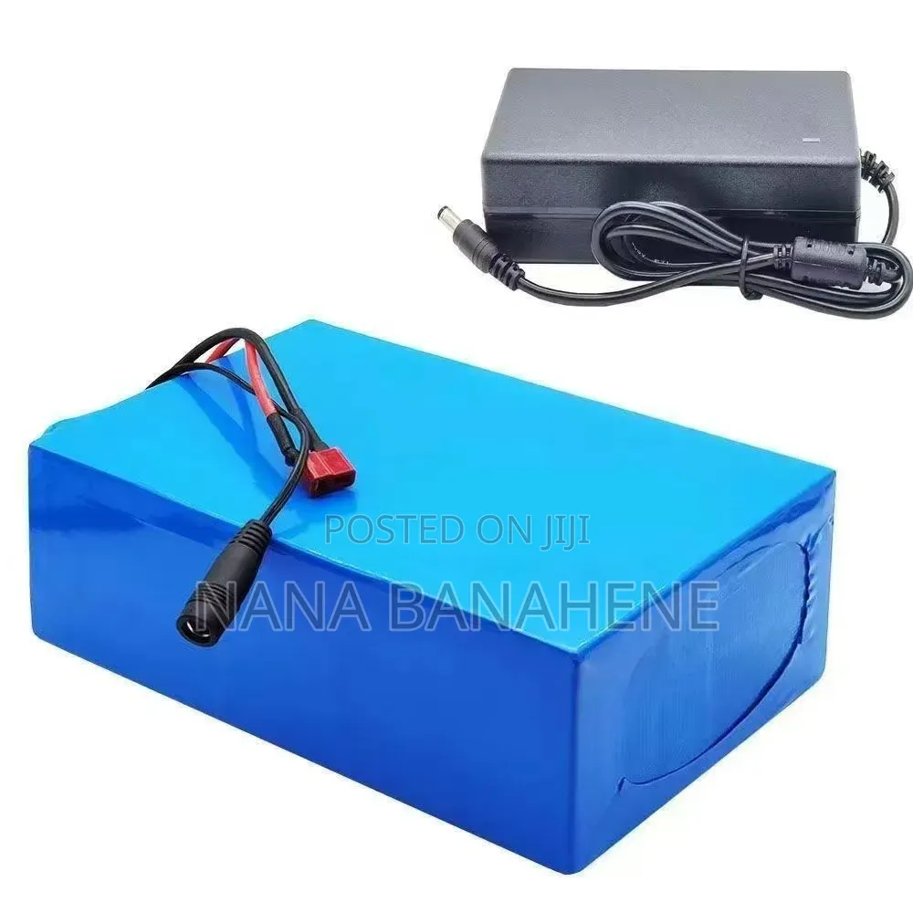 Brand New Imported 48V 20ah Original Lithium Battery With Charger