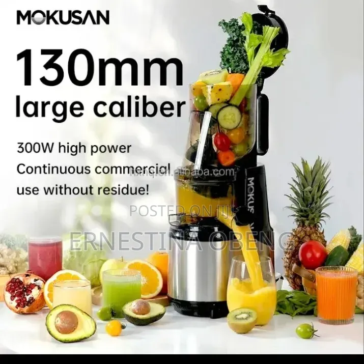 Slow Juicer