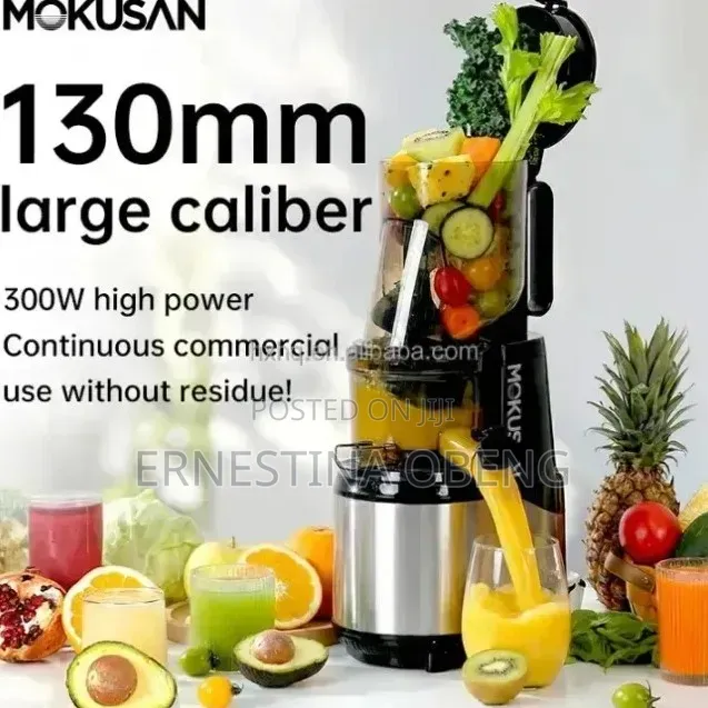 Slow Juicer