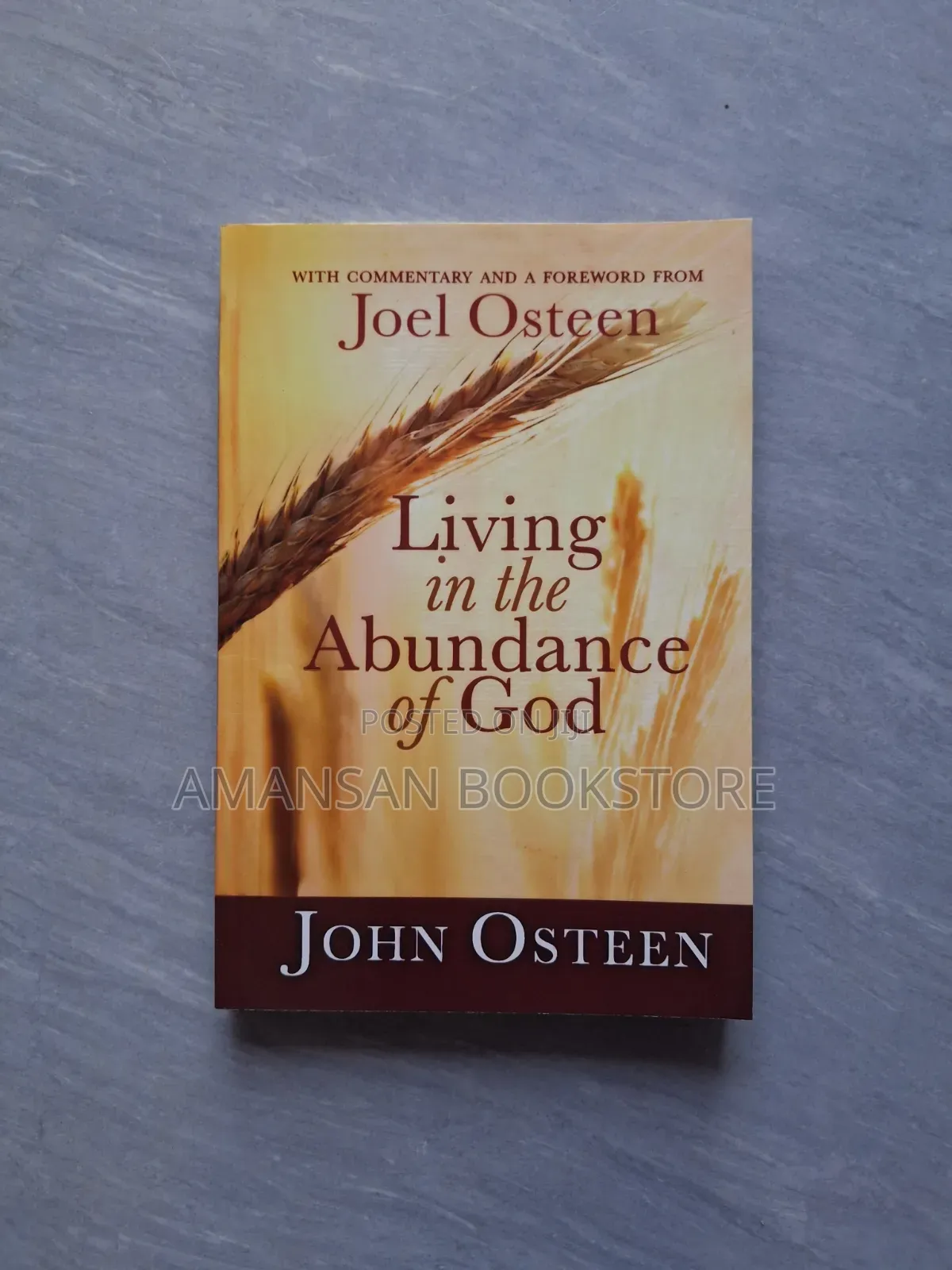 Living in the Abundance of God by John Osteen