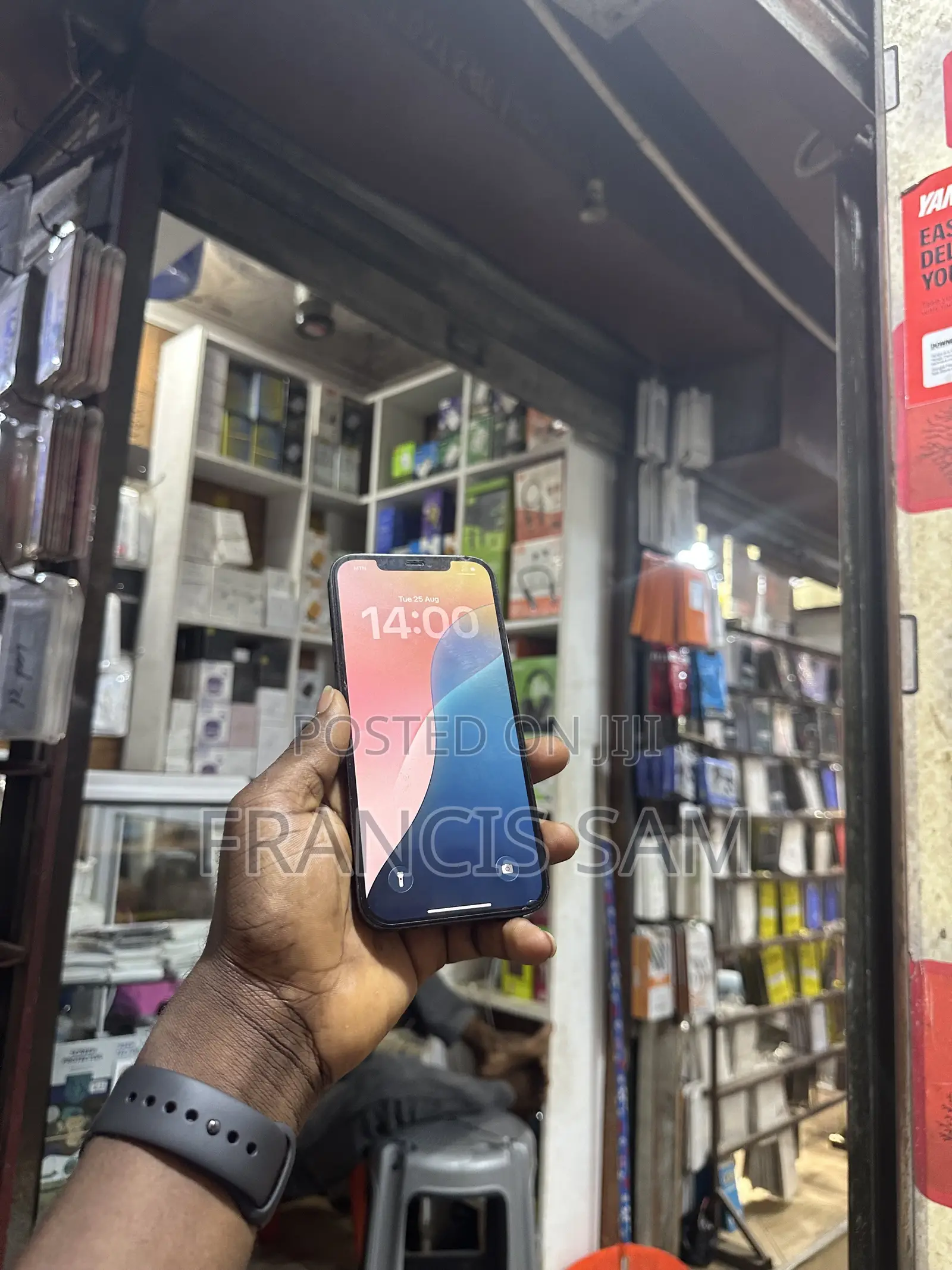 Apple iPhone 12 Pro Max 256 GB Blue