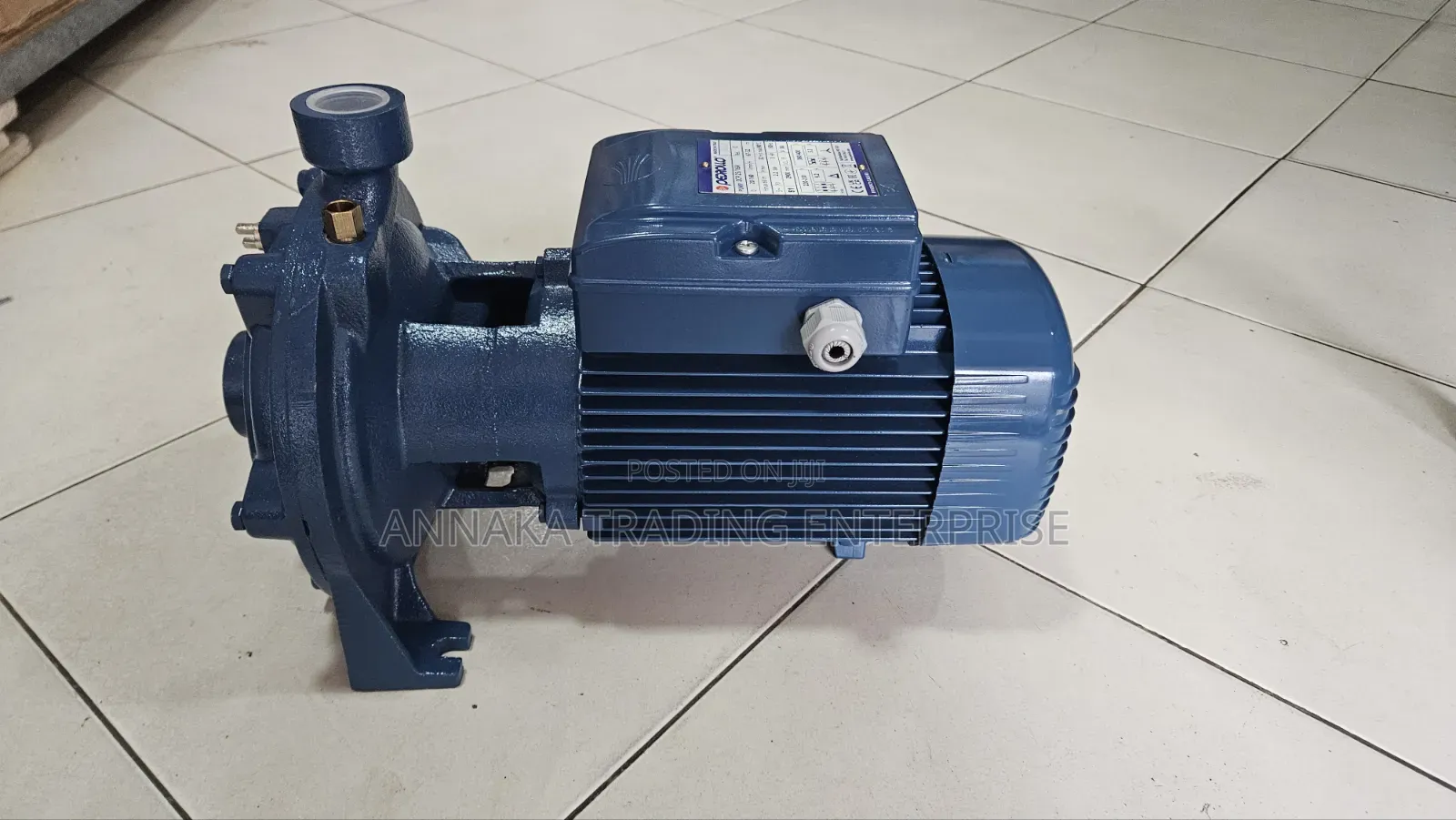 Italian Water Pump