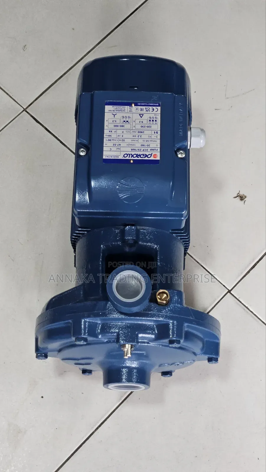 Italian Water Pump