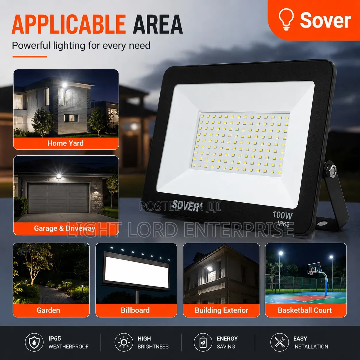 Sober Since 1999 Flood Lights All Available