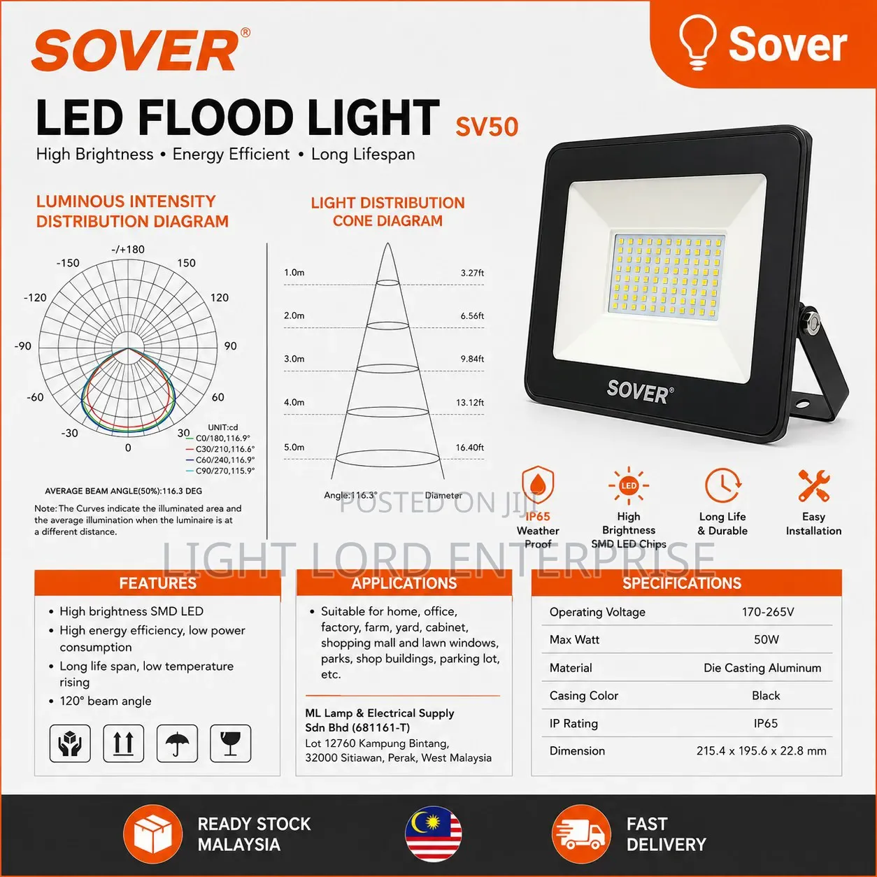 Sober Since 1999 Flood Lights All Available