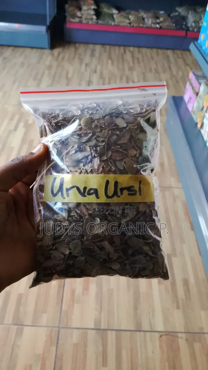 Uva Ursi (Bearberry) (UTI)