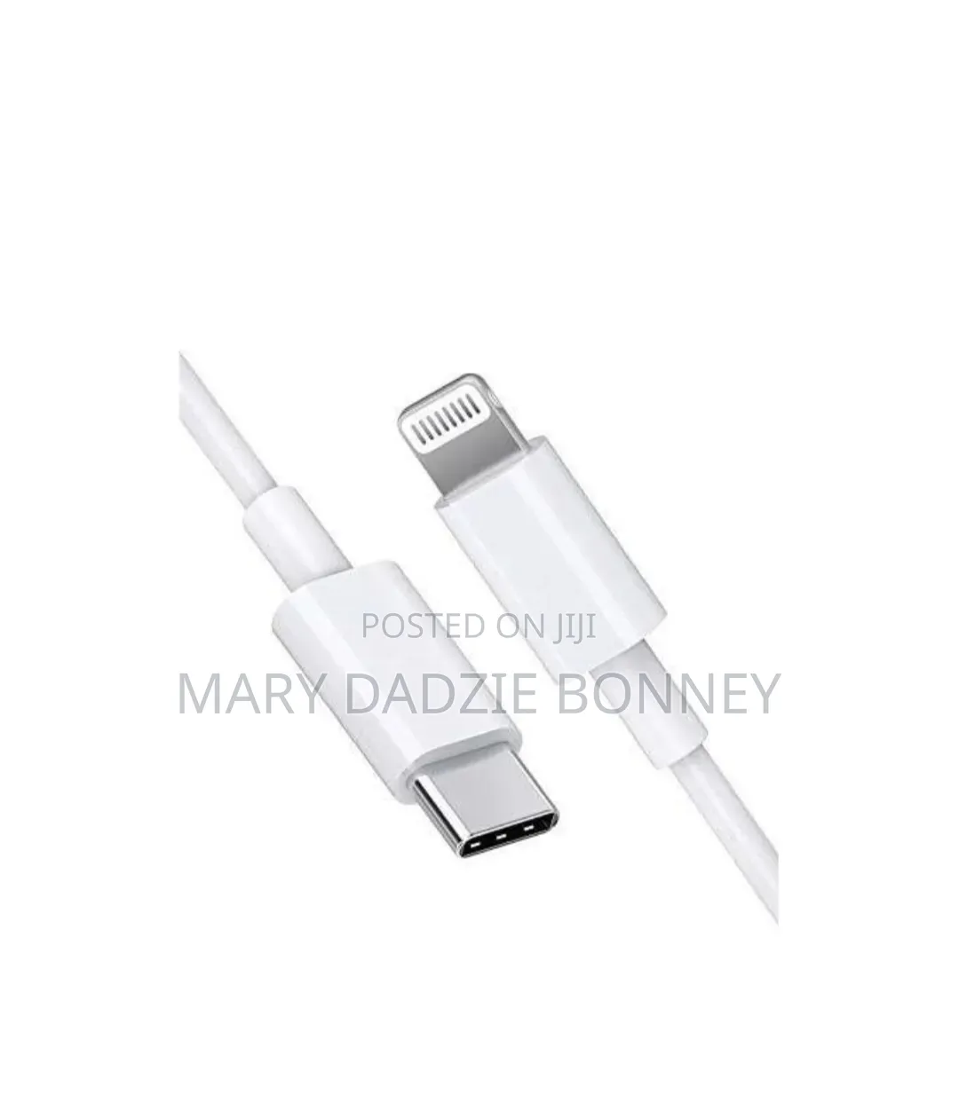 iPhone Charger