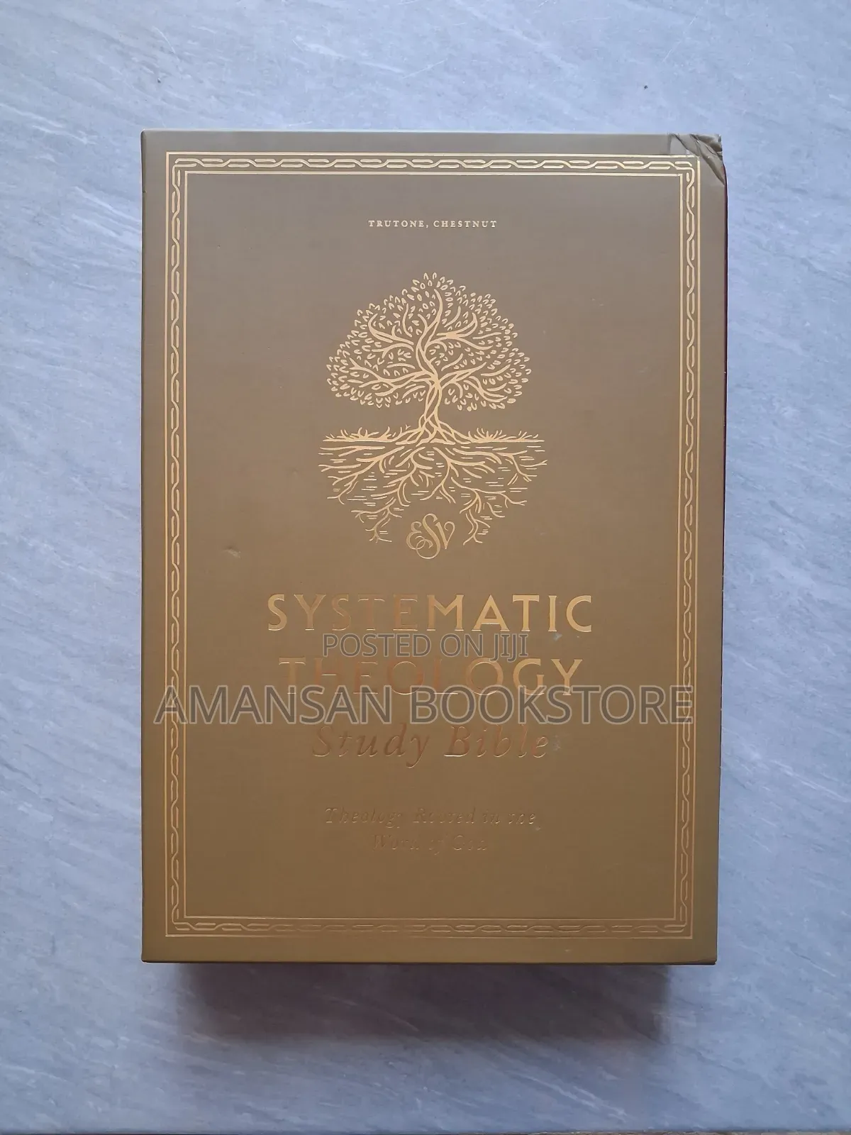 Systematic Theology Study Bible: ESV