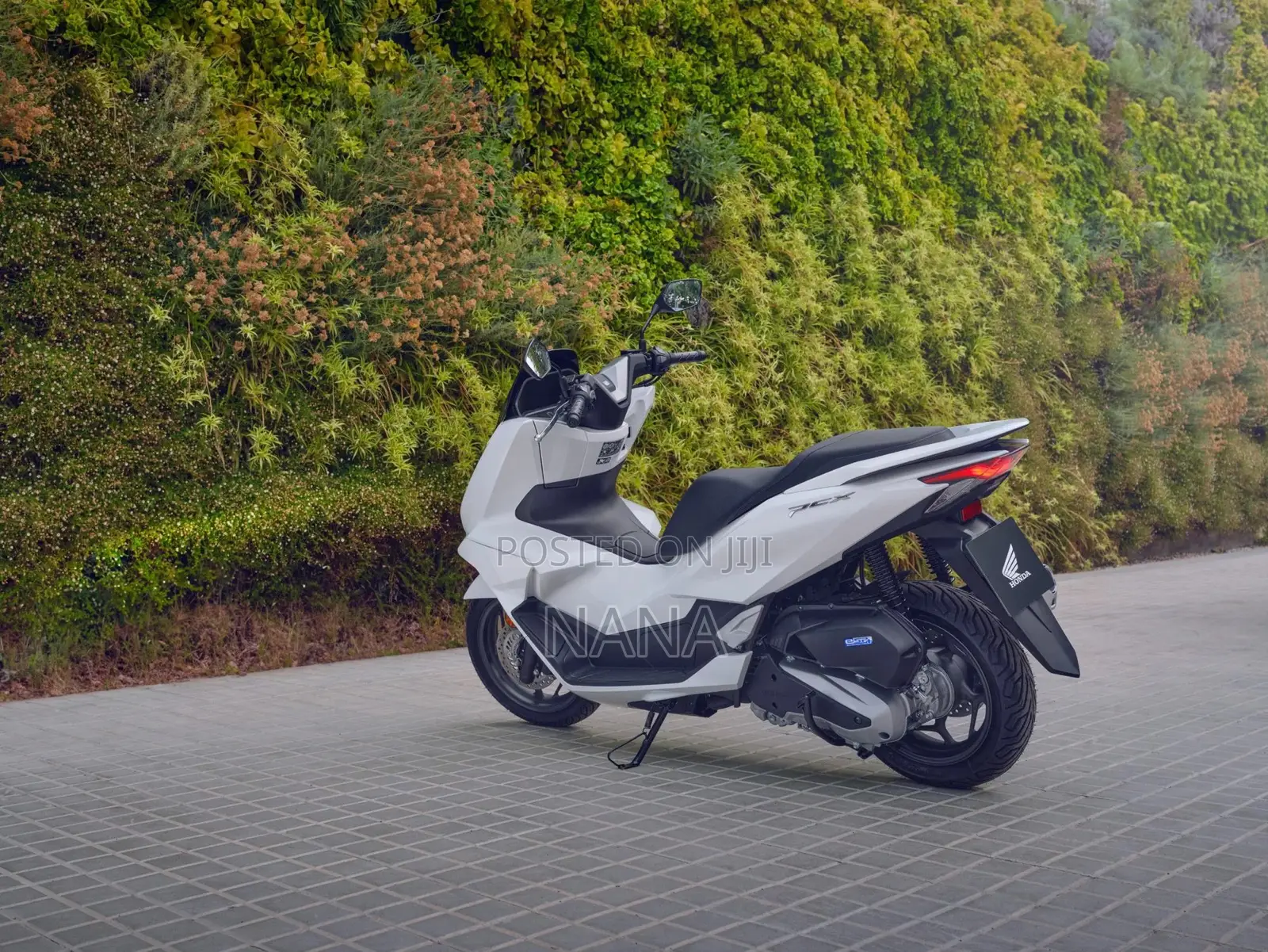 Honda 2022 White