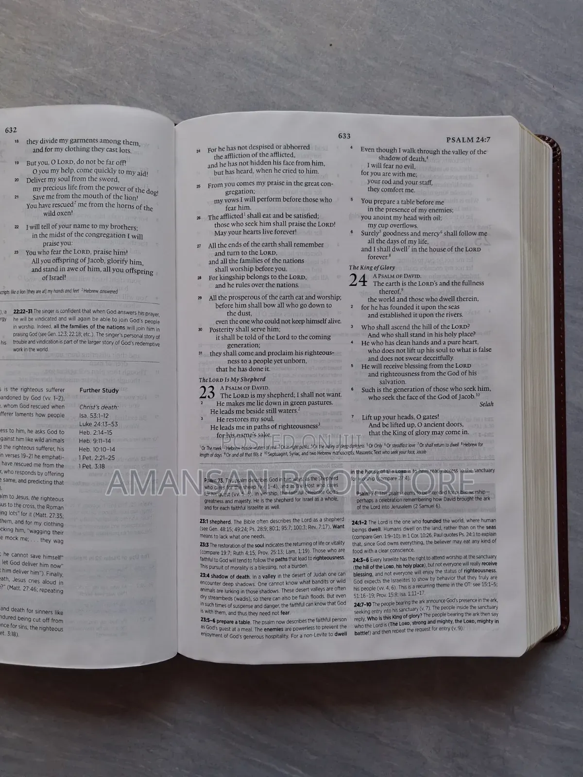Systematic Theology Study Bible: ESV