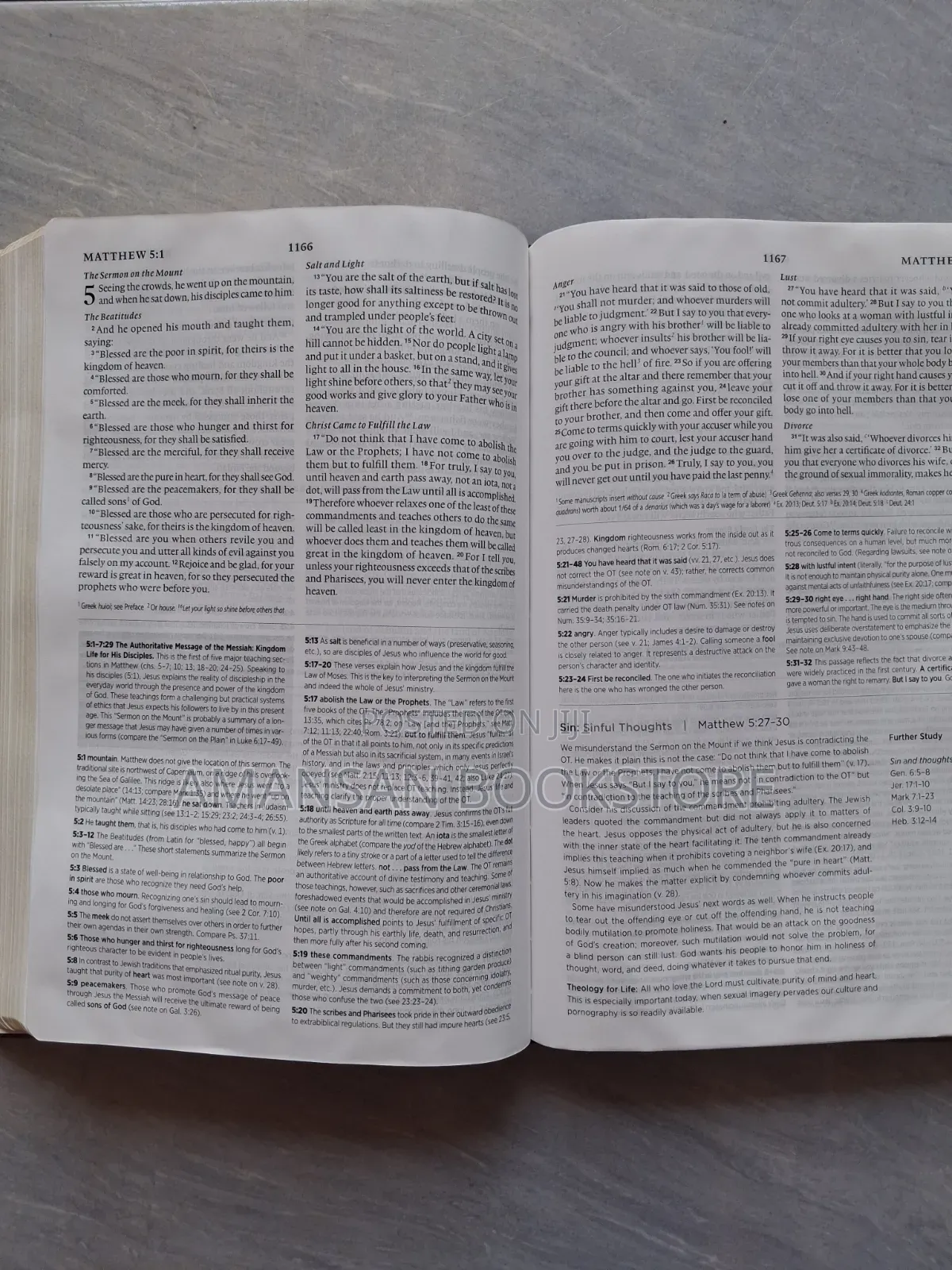 Systematic Theology Study Bible: ESV