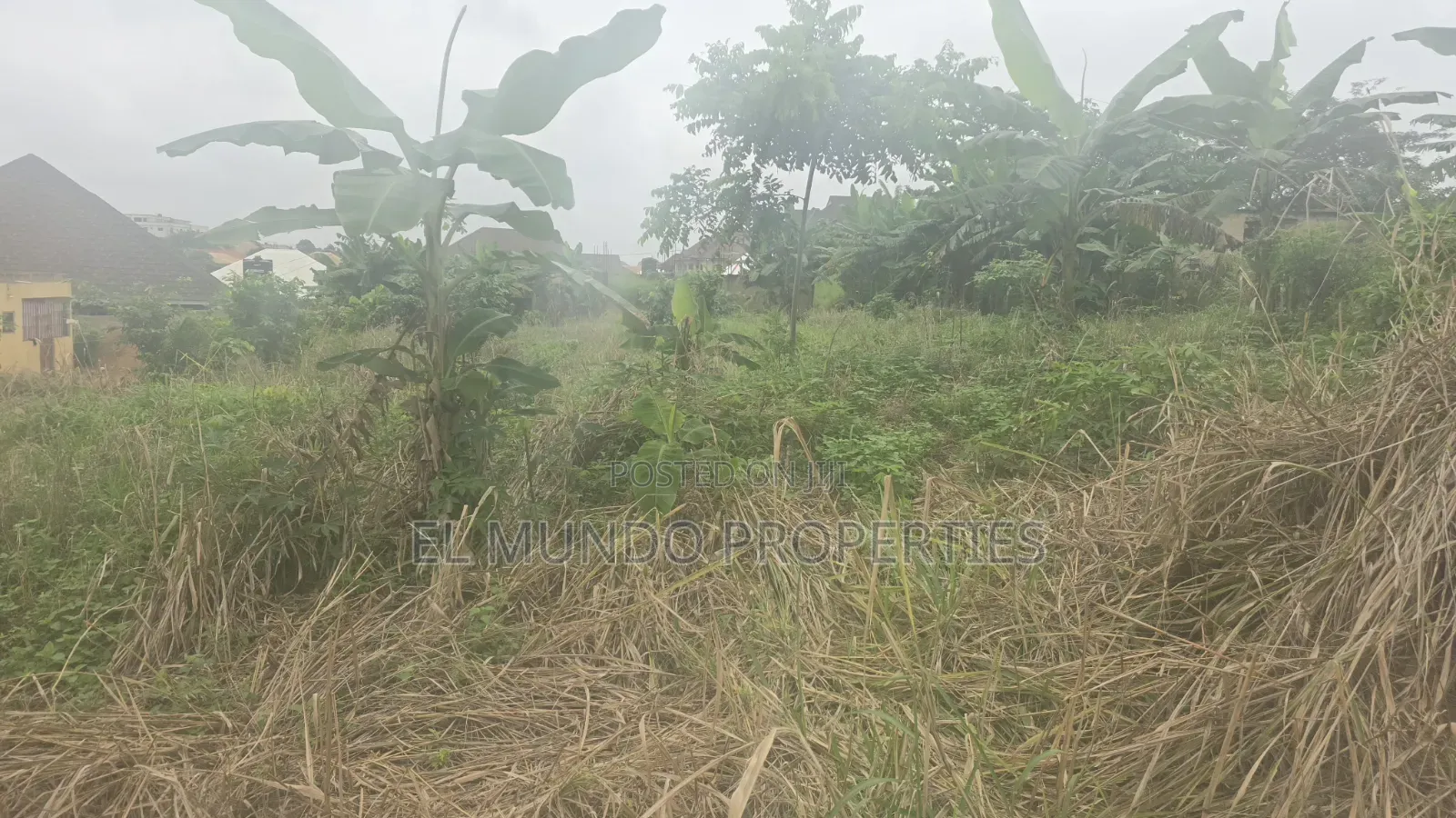 Land at Tanoso Dominase for Sale