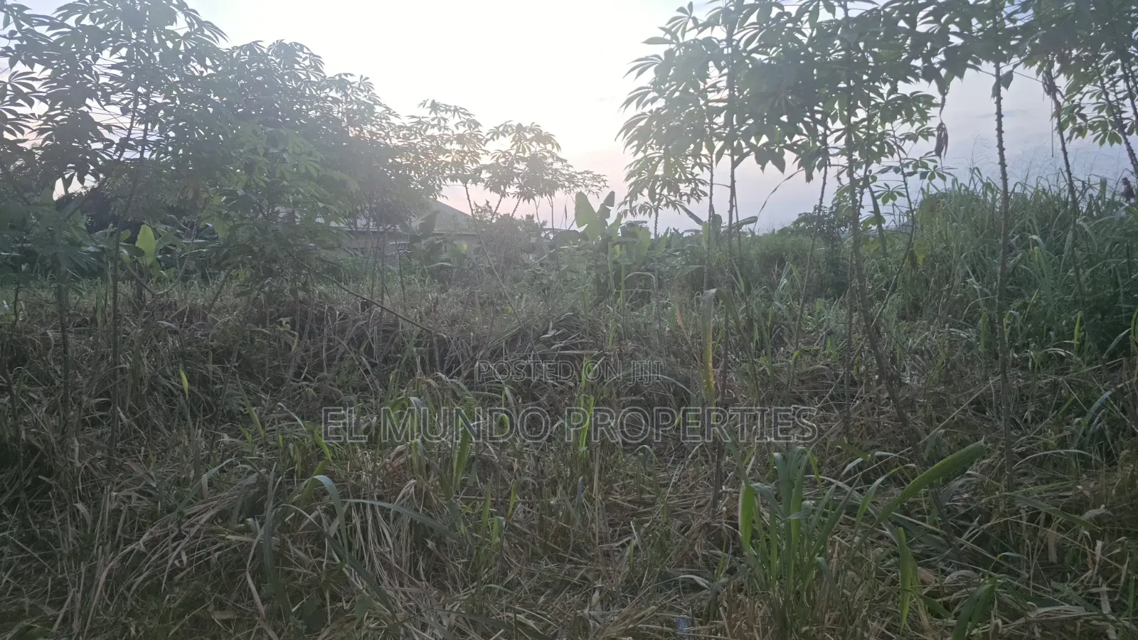 110*100 Land at Tanoso Dominase for Sale