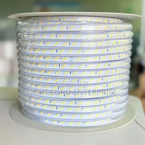 Thick Havy Silcone Rope Decor Strip Light