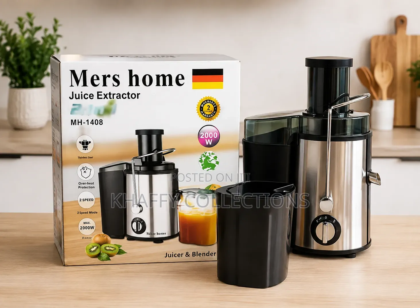 Electric Juicer