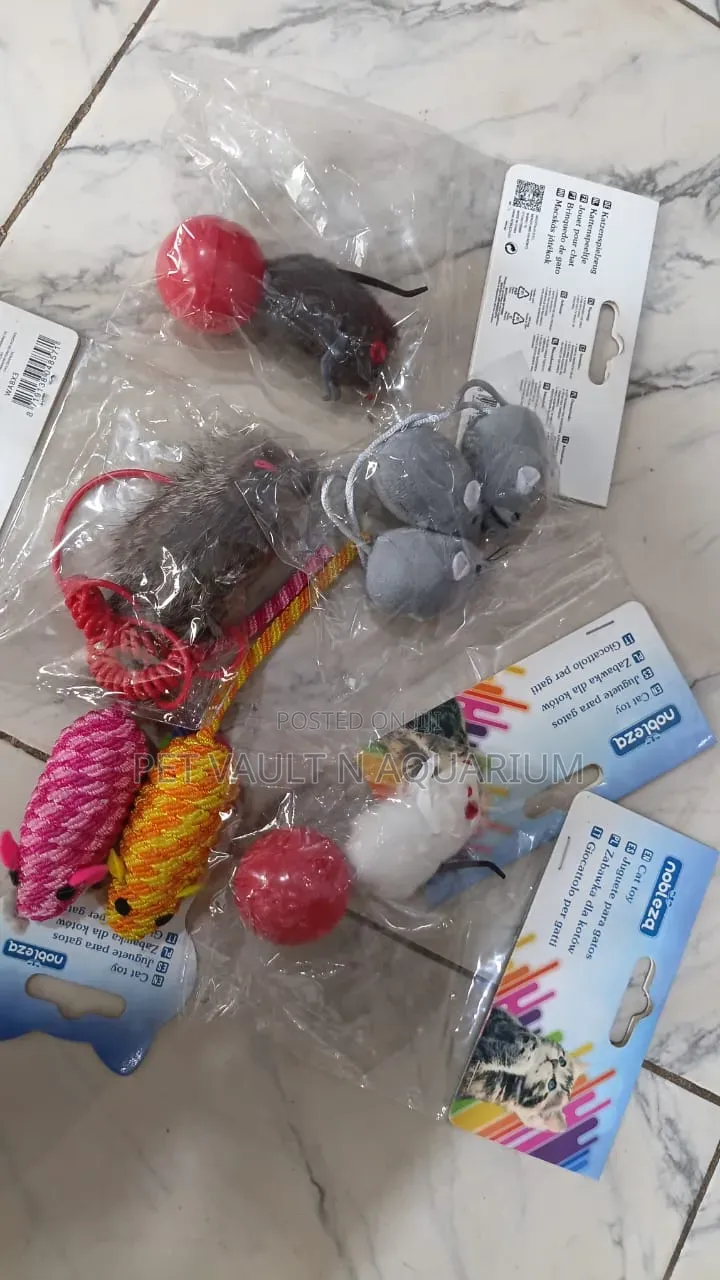 Cats Play Toys