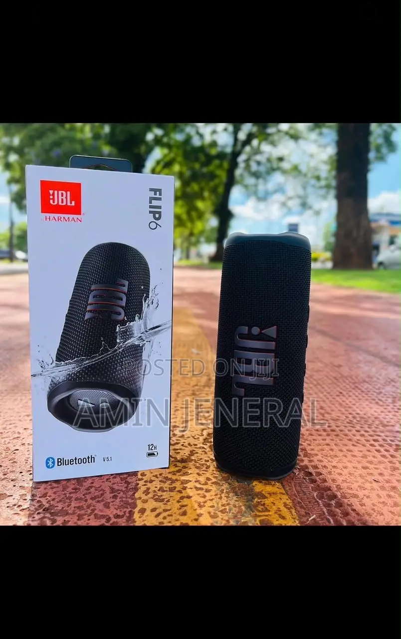 JBL Flip 6