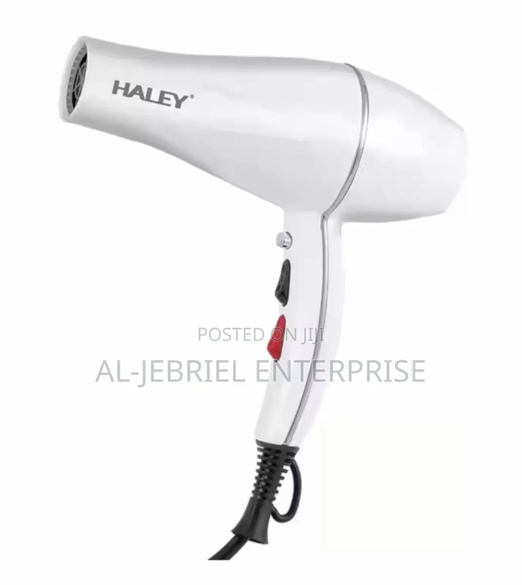 Haley Hair Dryer (White)