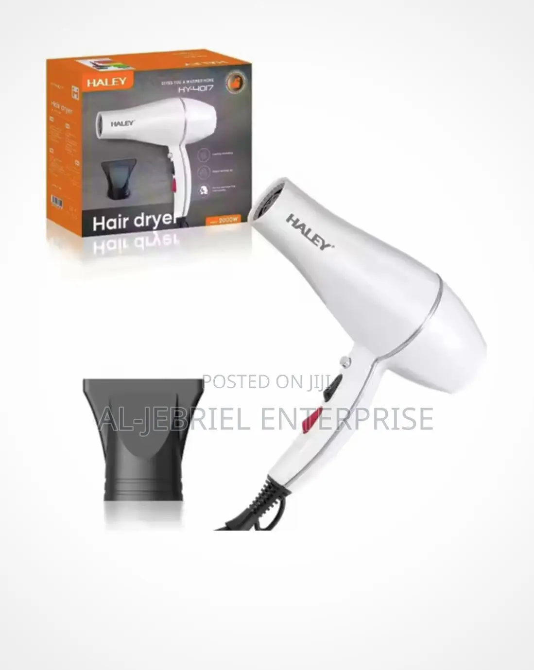 Haley Hair Dryer (White)