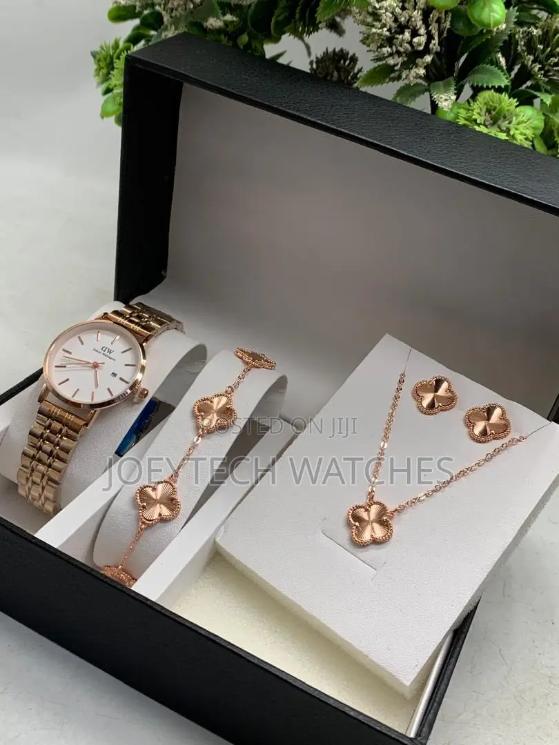 DW Premium Ladies Watch Set