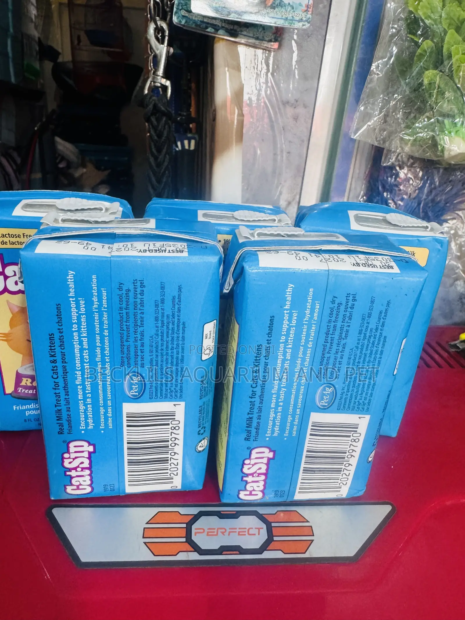 235 Ml - Real Cat Milk