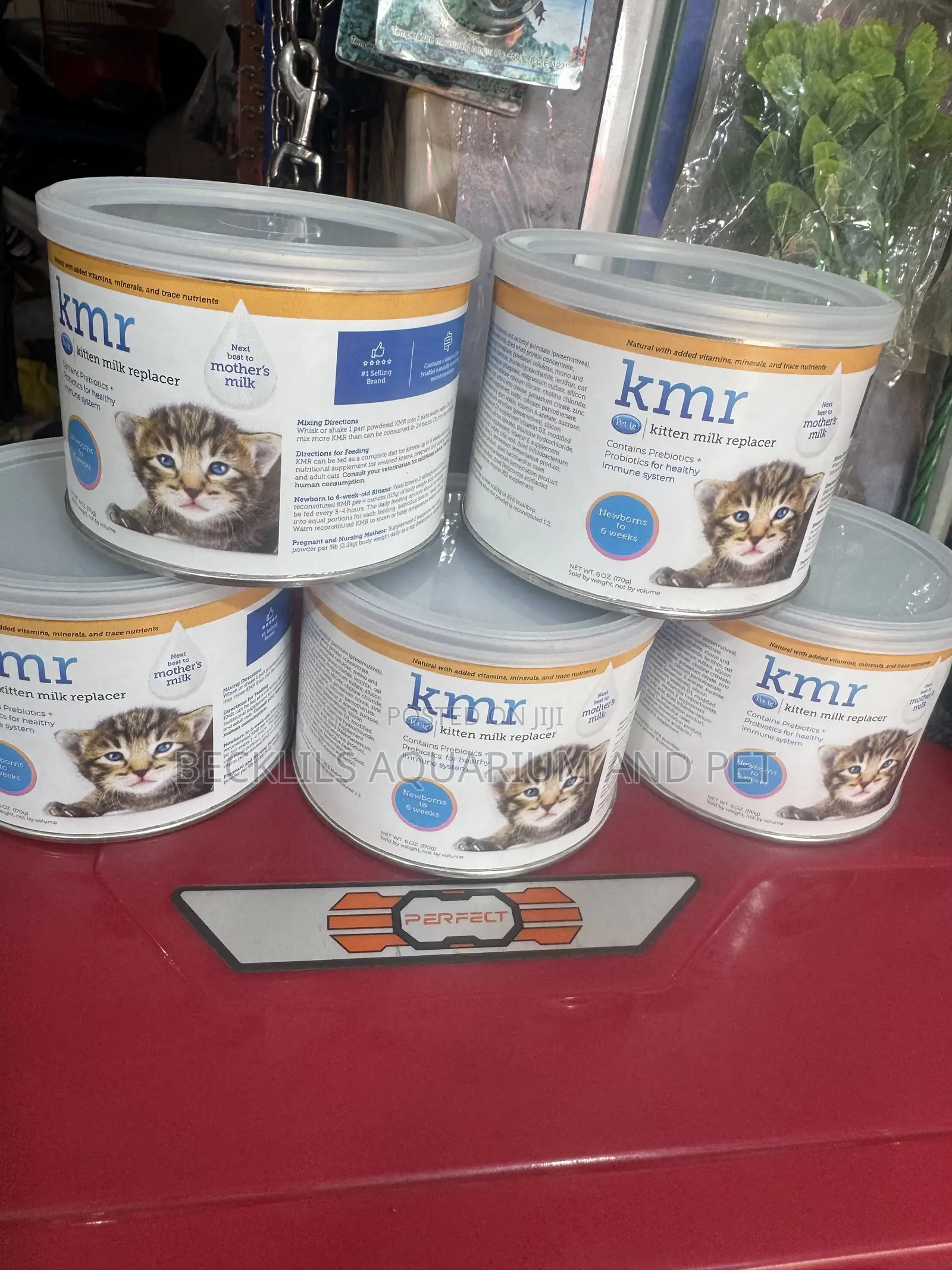 KMR Kitten Milk Replacer Powder