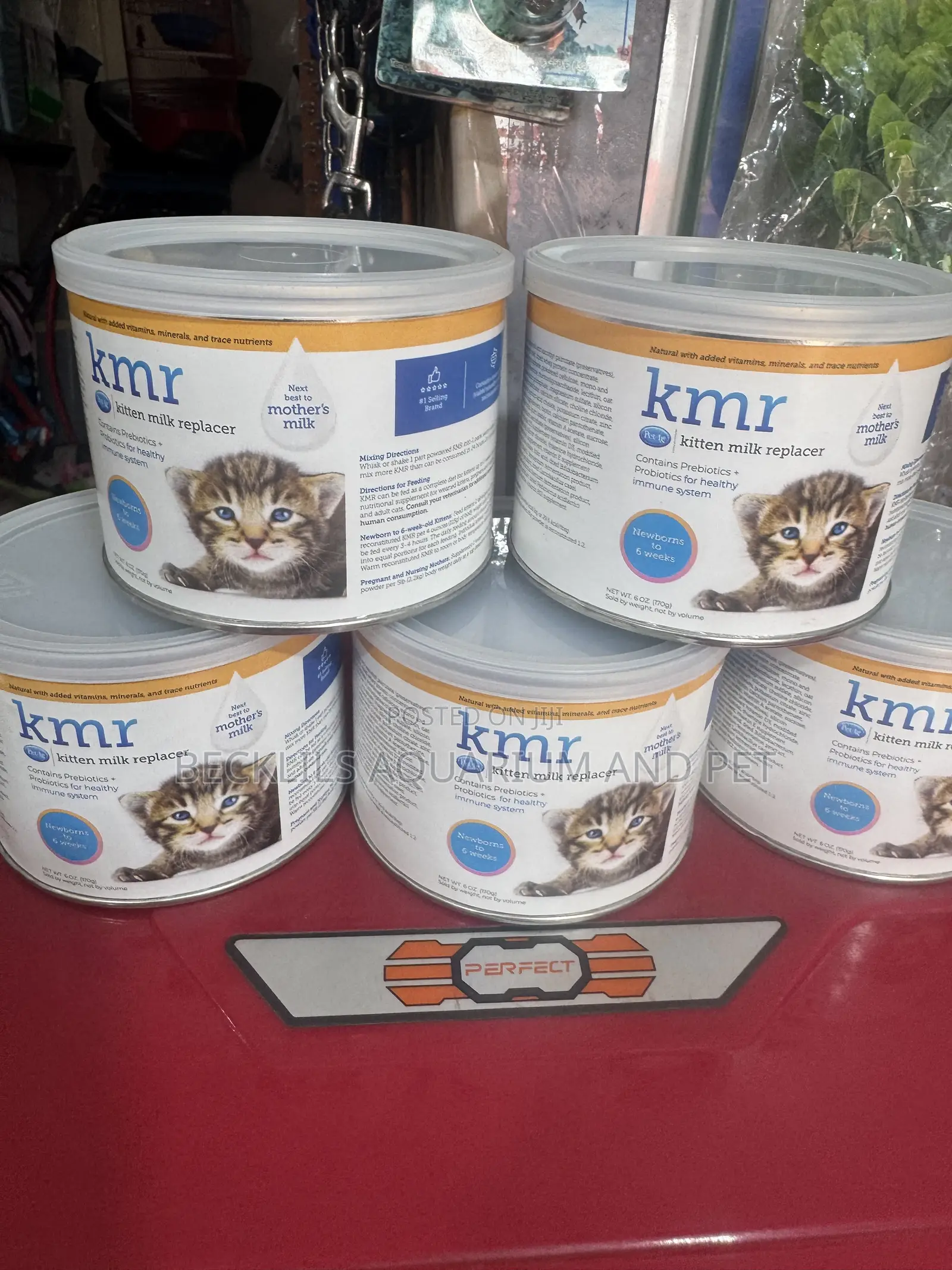 KMR Kitten Milk Replacer Powder