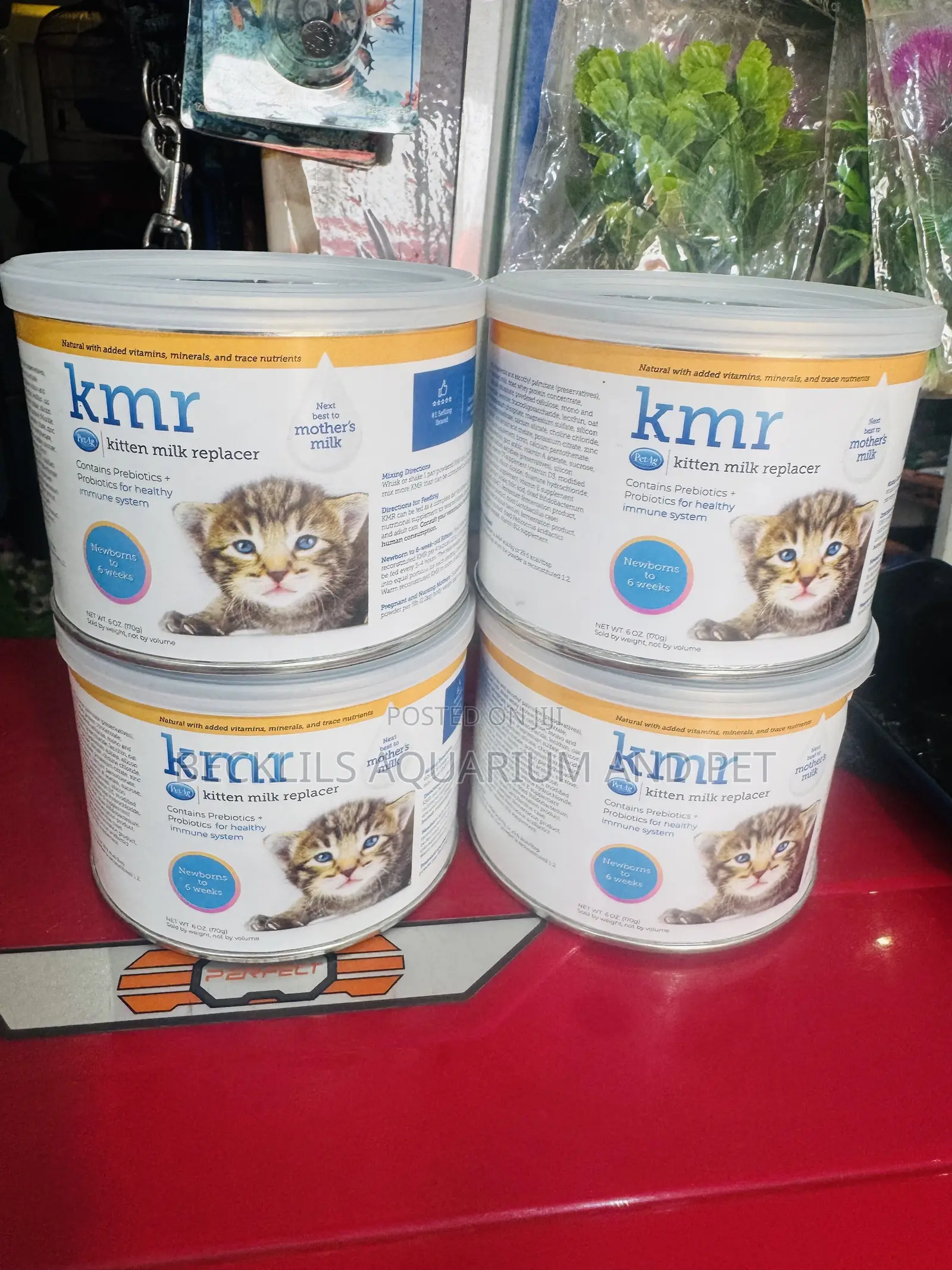 KMR Kitten Milk Replacer Powder