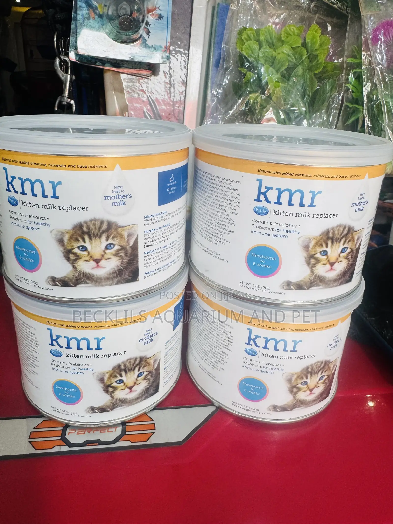 KMR Kitten Milk Replacer Powder