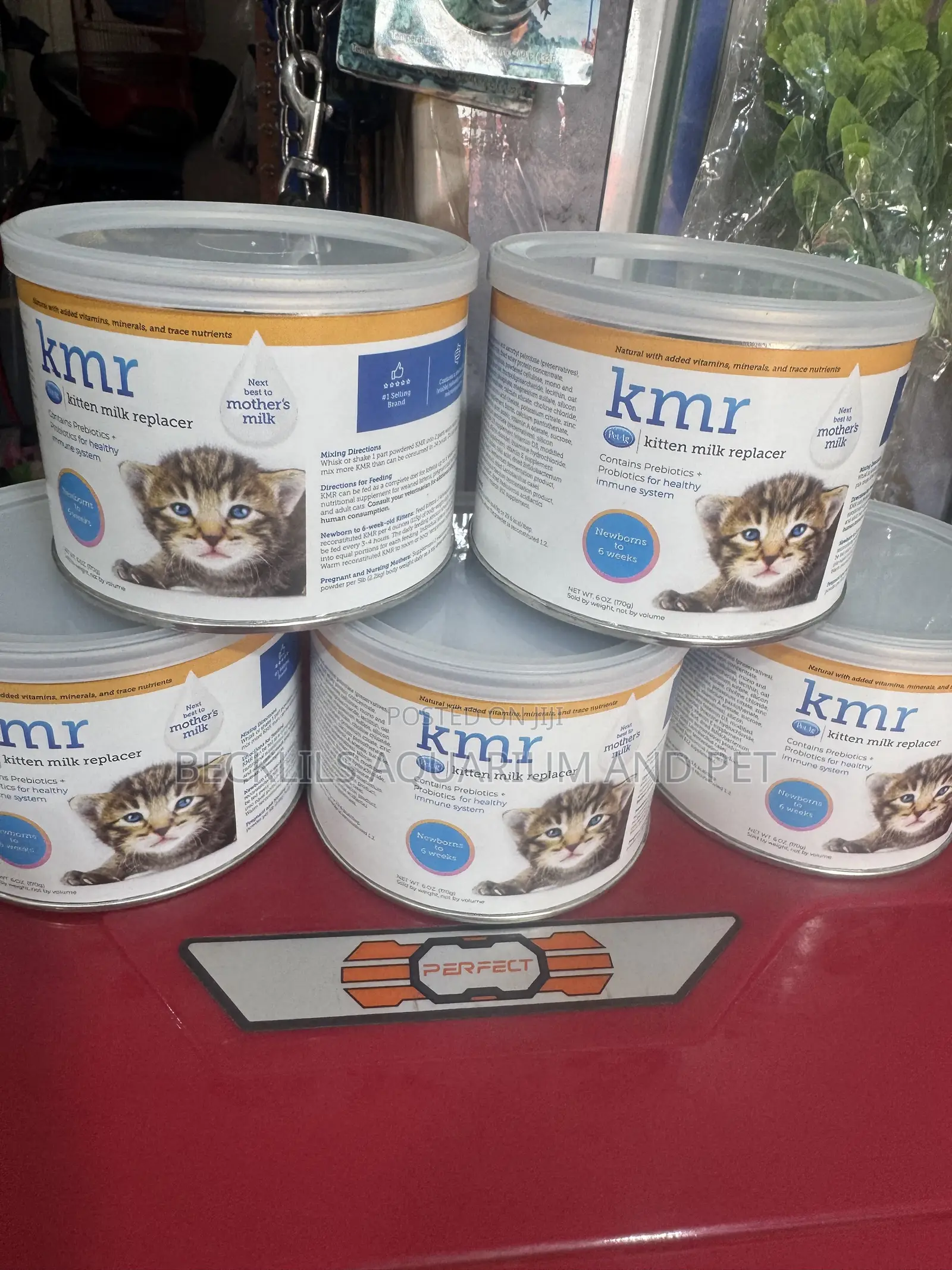 KMR Kitten Milk Replacer Powder