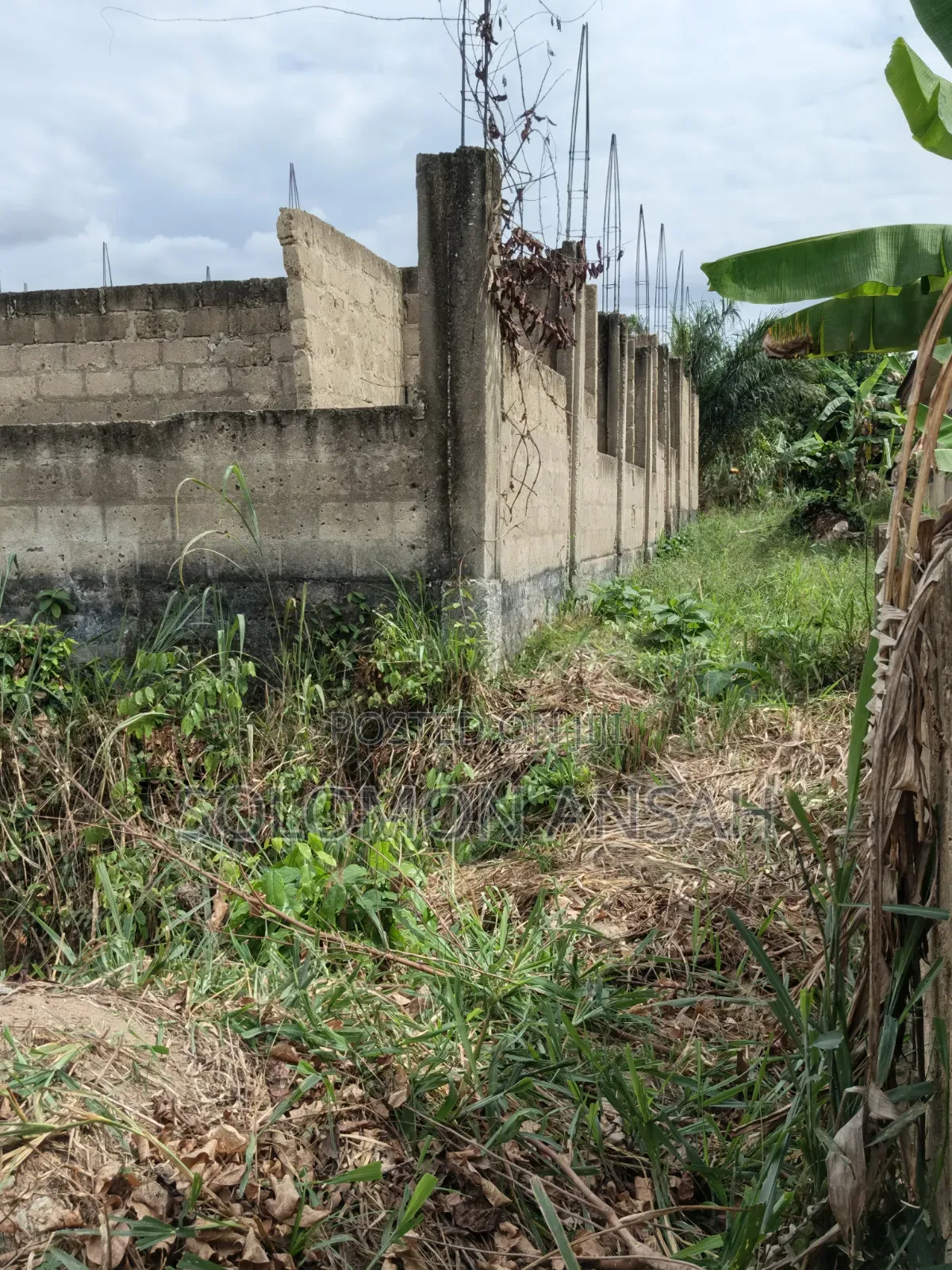 Two Plot With Proposed Guest House Structure for Sale at Abuontem