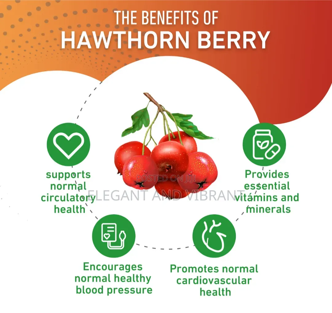 Hawthorn Berry 20:1 Extract 8000mg -Heart, Cardiovascular Health,