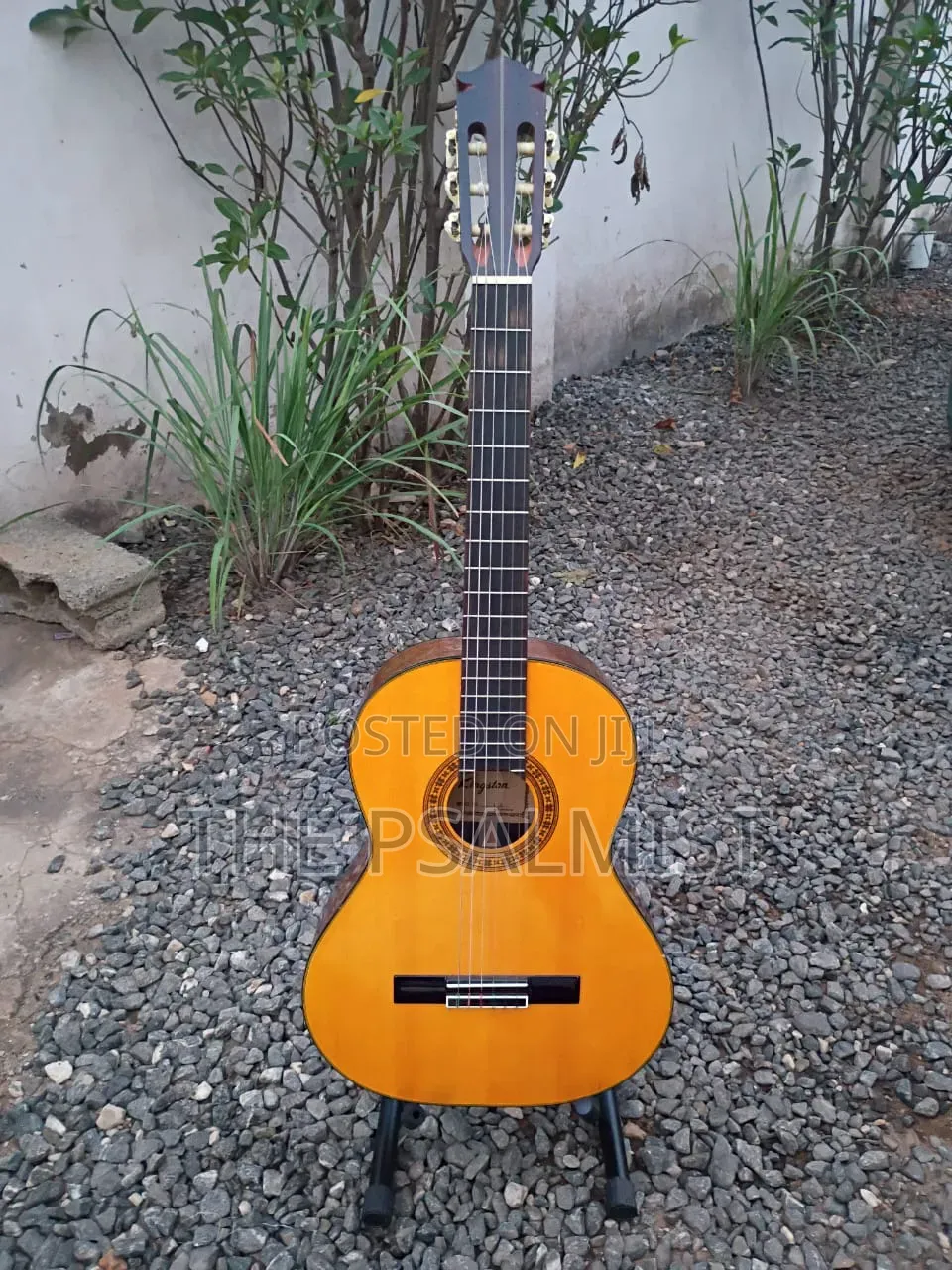 Kingston C- 120 Classical Guitar With Hard Case Bag