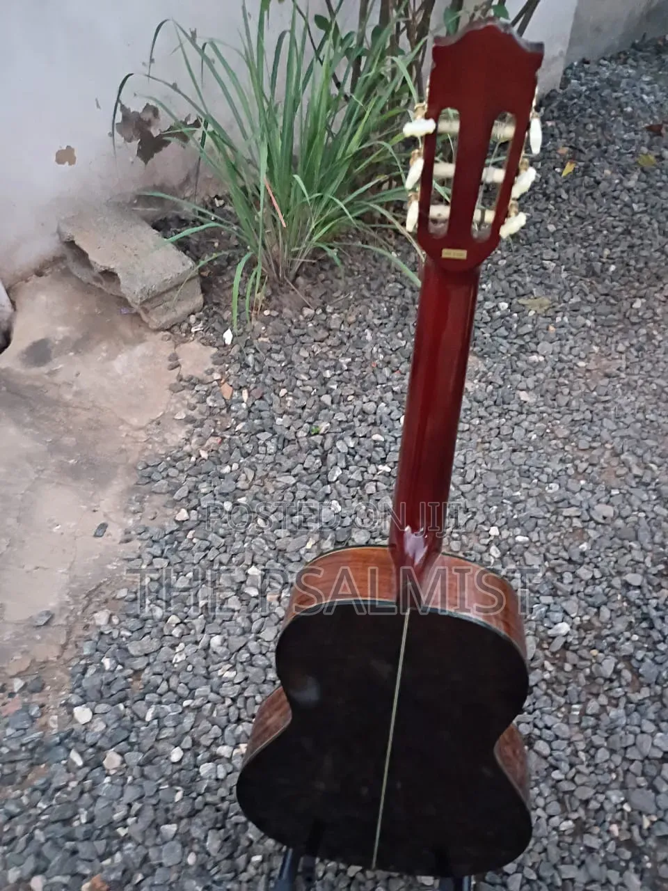 Kingston C- 120 Classical Guitar