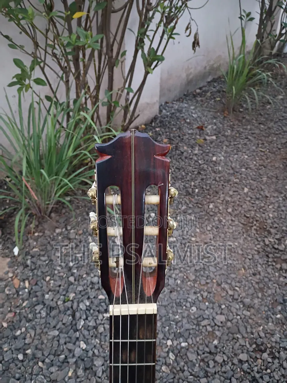 Kingston C- 120 Classical Guitar