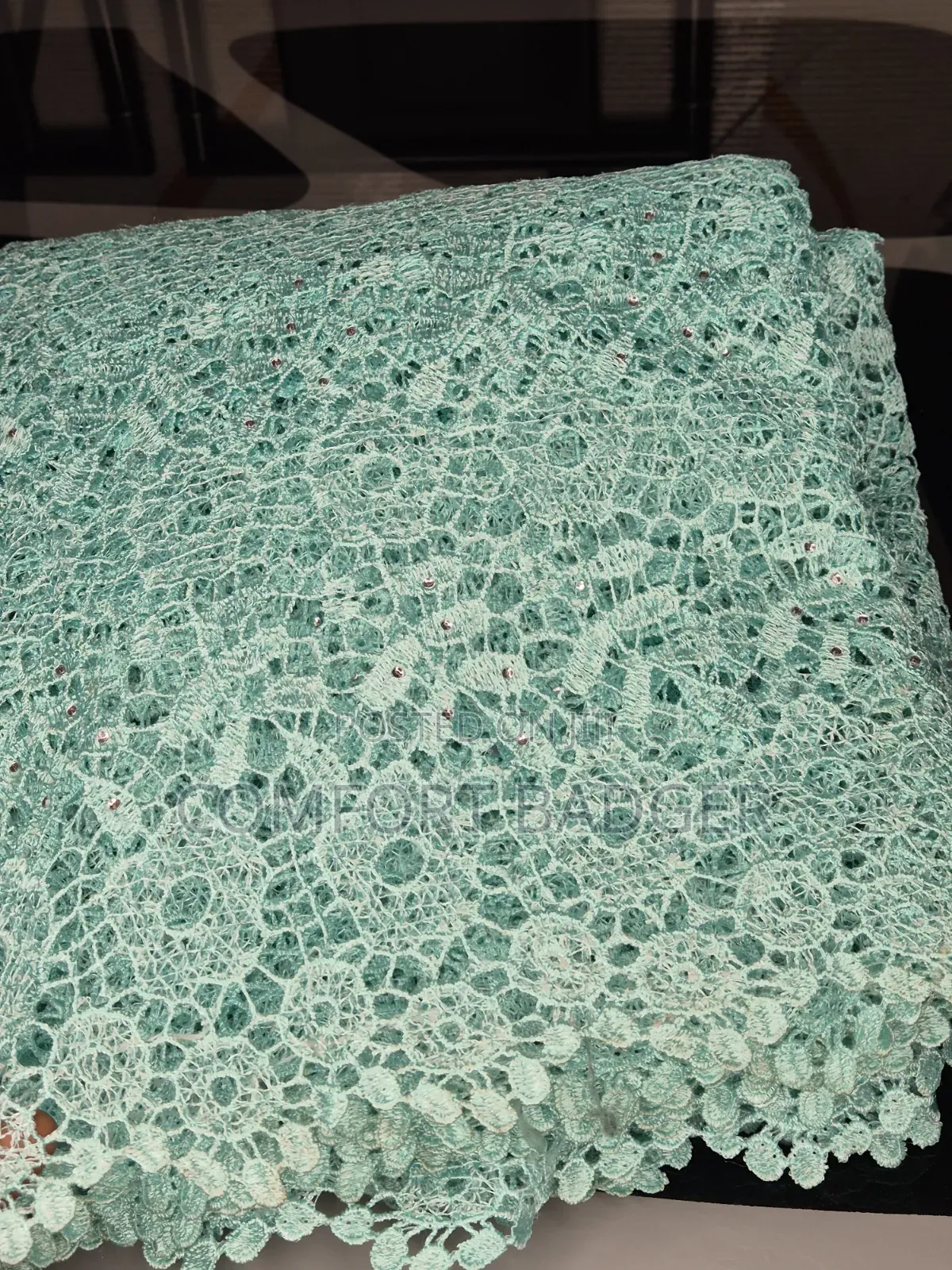 Mint Green Cord (Guipure) Lace With Stone Embellishments
