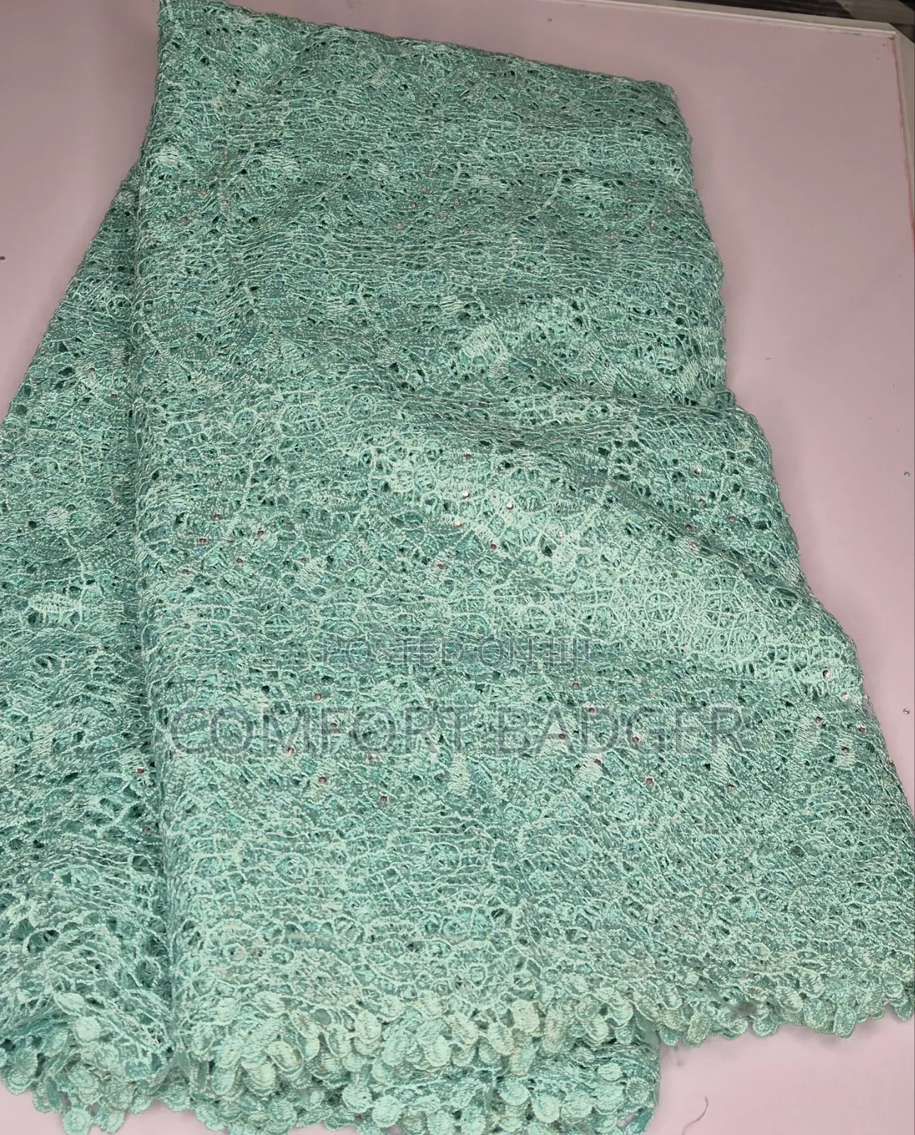 Mint Green Cord (Guipure) Lace With Stone Embellishments