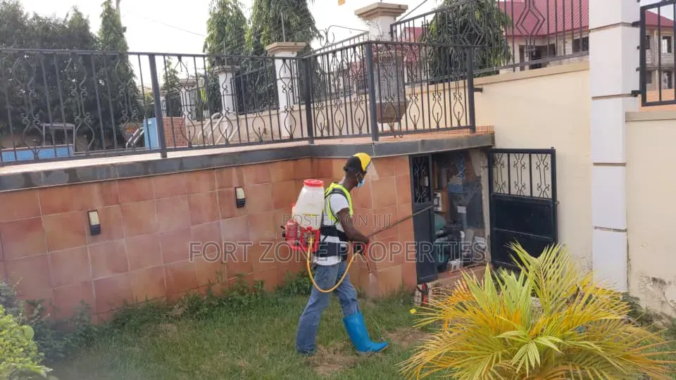 Way Out Fumigation With Cleantex