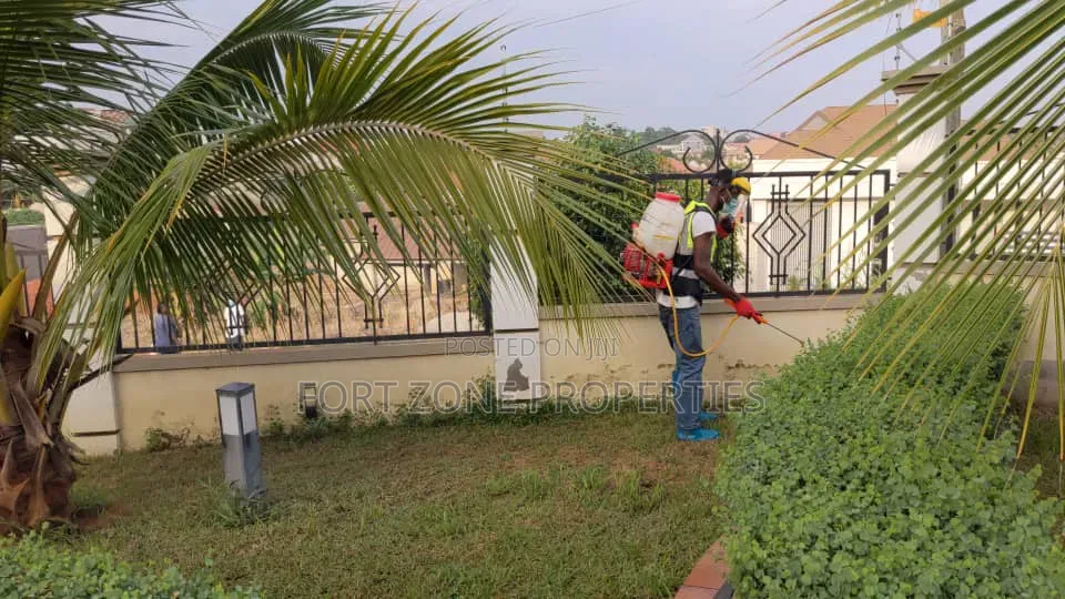 Way Out Fumigation With Cleantex