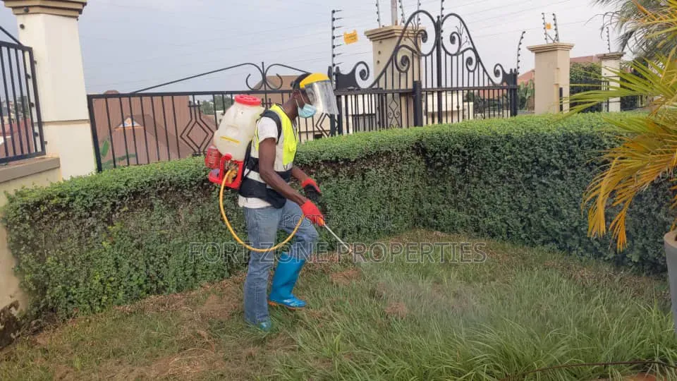 Way Out Fumigation With Cleantex