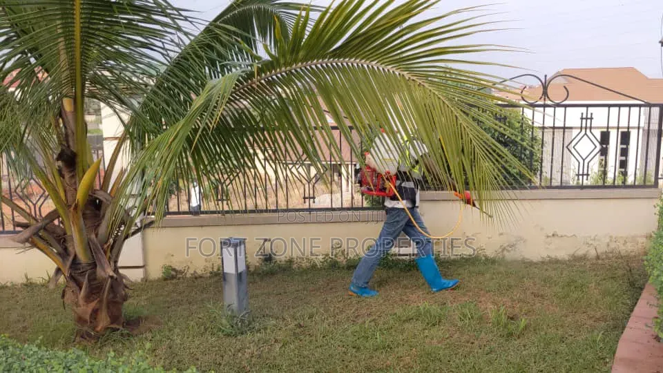 Way Out Fumigation With Cleantex
