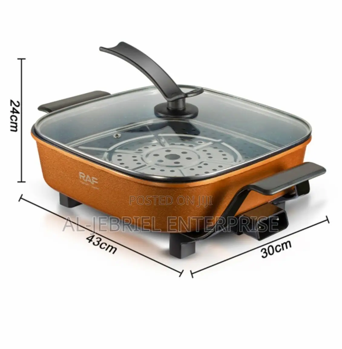 AILYONS Multi-Function Electric Cooking Pot