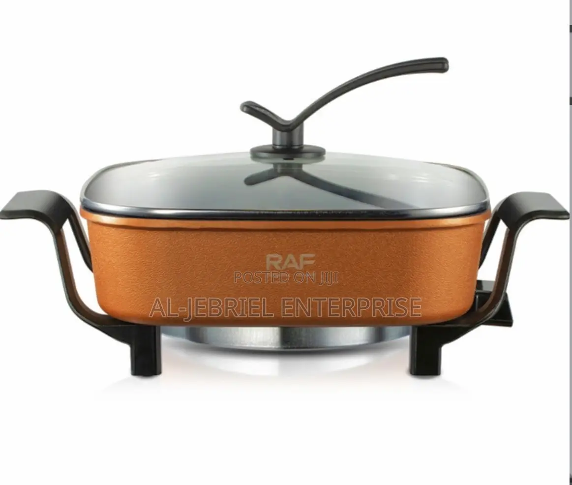 AILYONS Multi-Function Electric Cooking Pot
