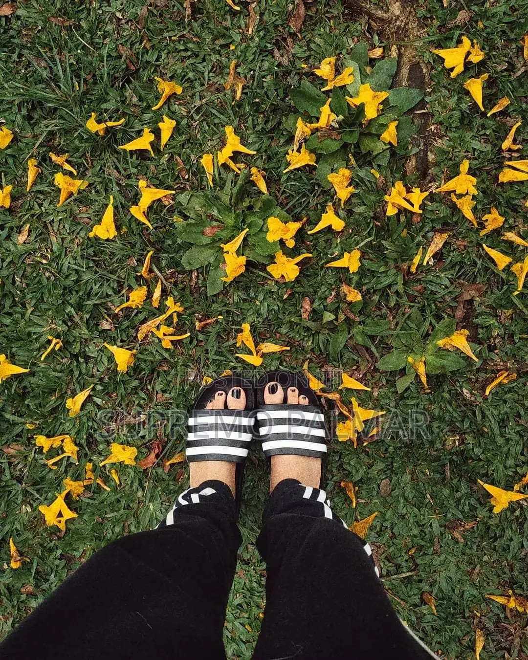 ADILETTE AQUA  Adidas Slides - 3-Stripes Casual Slippers